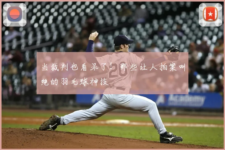 当裁判也看呆了！那些让人拍案叫绝的羽毛球神技