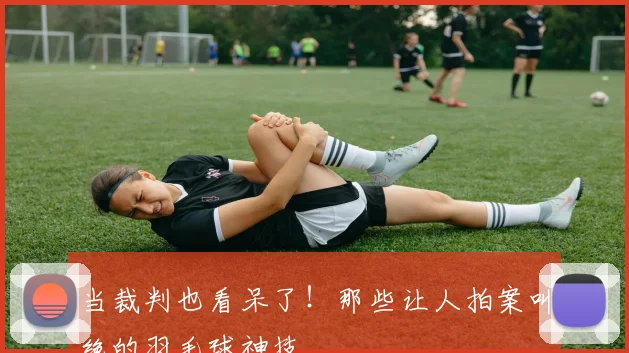 当裁判也看呆了！那些让人拍案叫绝的羽毛球神技